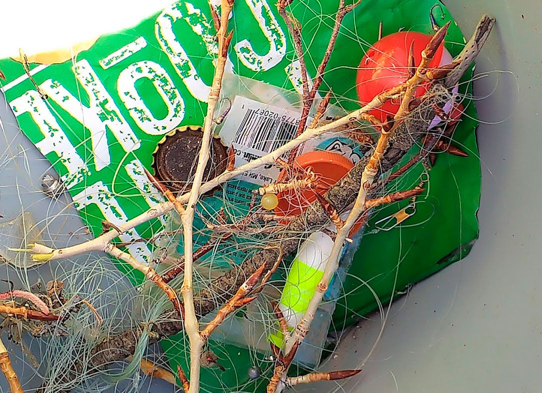 Taking Action To Prevent Bird Deaths From Fishing Line